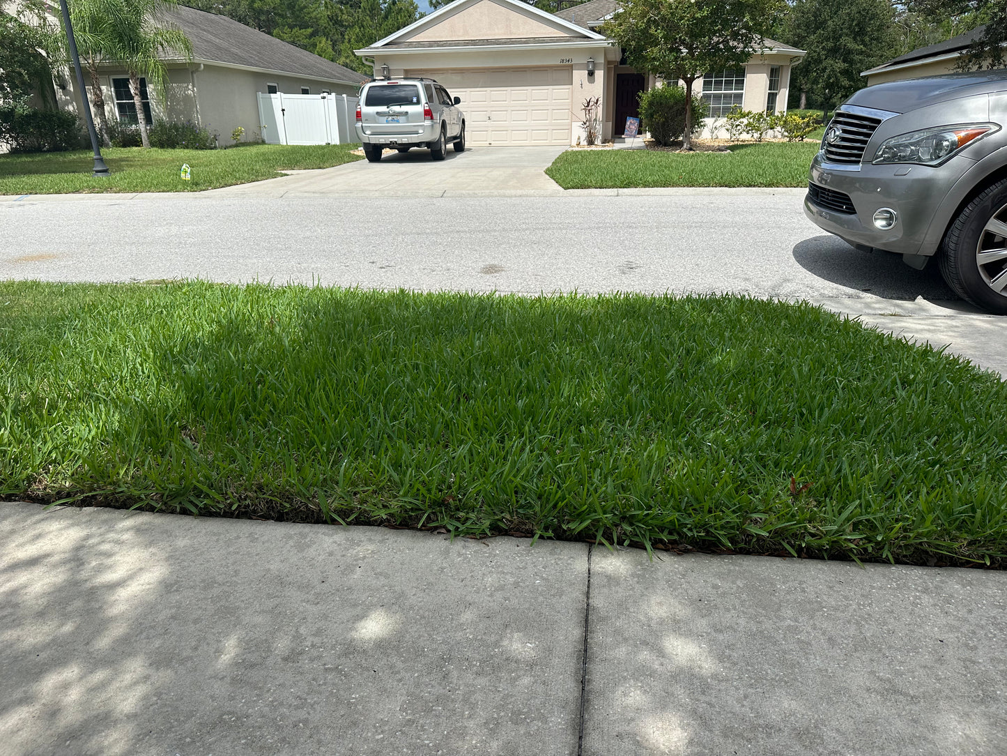 Lawn Treatment Plans