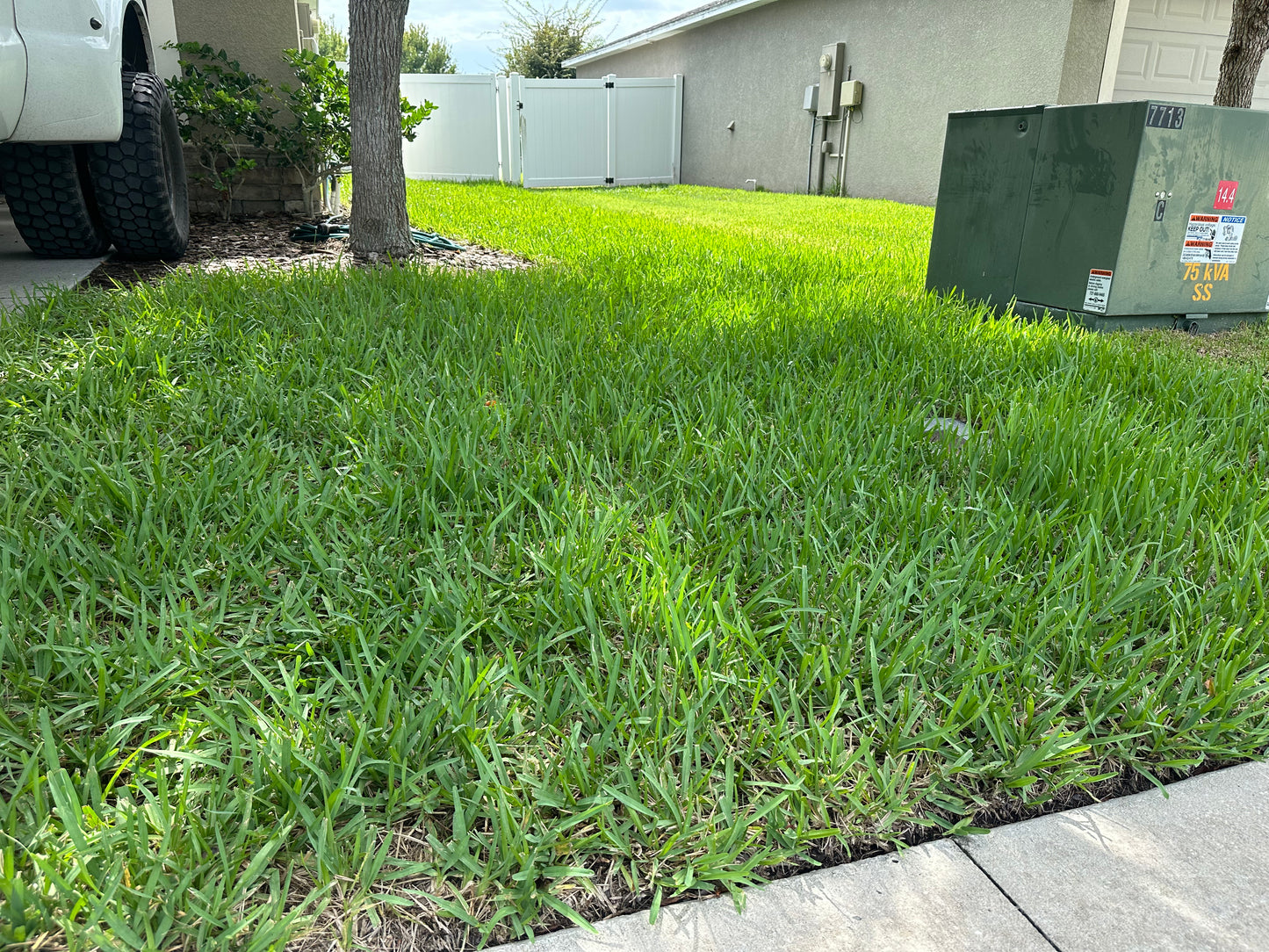 Lawn Treatment Plans