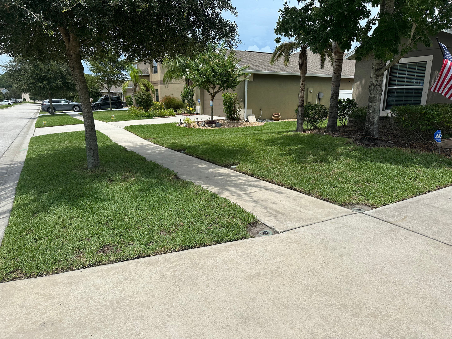 Lawn Treatment Plans