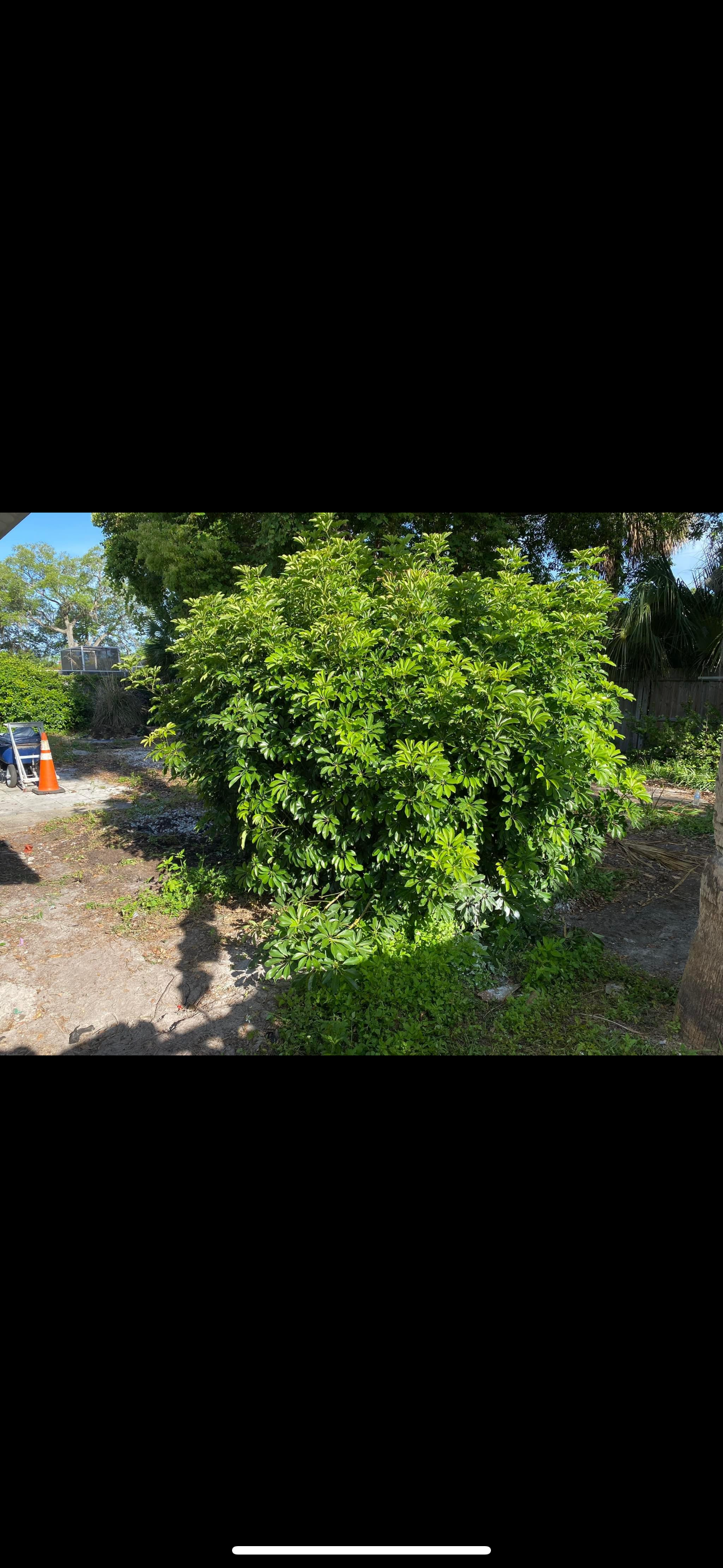 Property Overhauls and Renovations